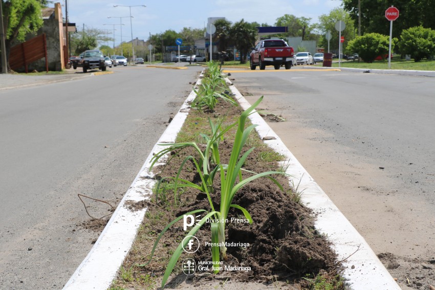 Iniciaron con la ornamentacin del derivador Meln Gil