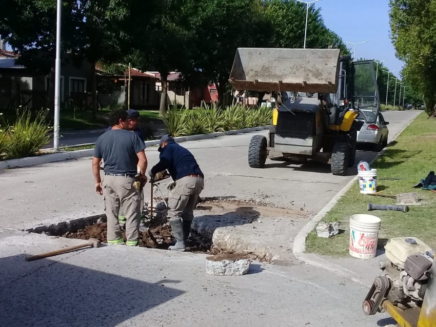 Repararon un bache en el asfalto en Saavedra y el Tala