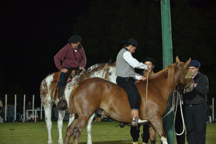 El Argentino Luna ya vive la edicin 47 de la Fiesta Nacional del Gauc