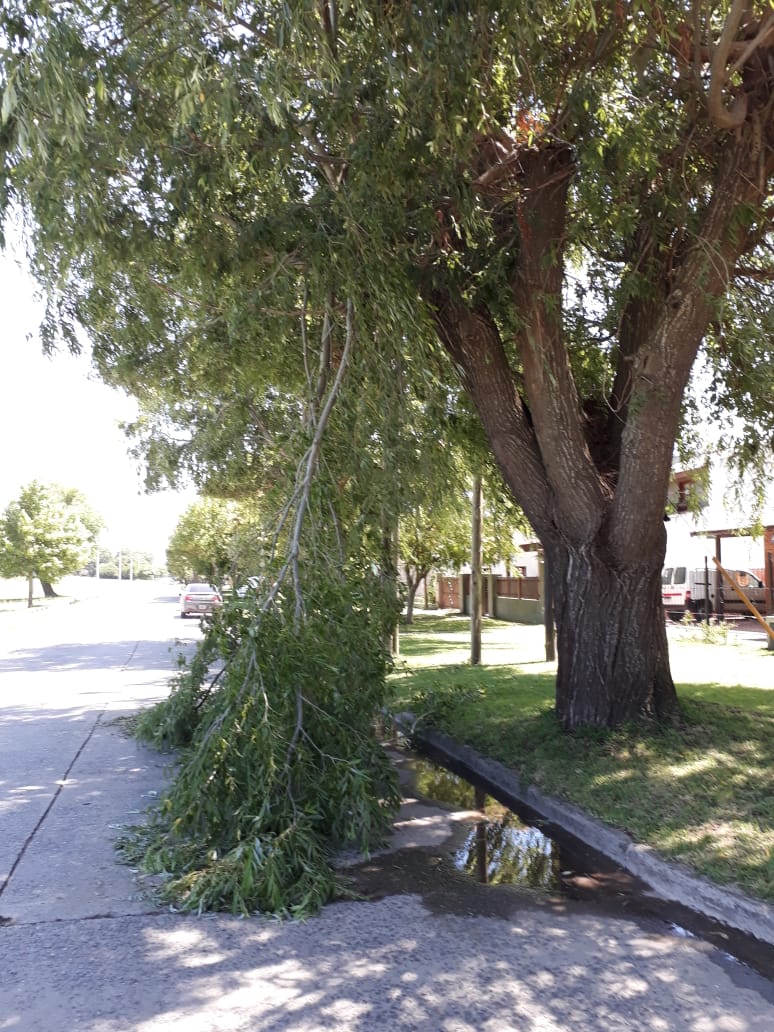 Ces el alerta meteorolgico y se espera un domingo con una mxima de 
