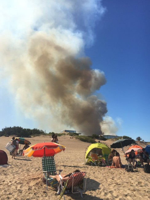 Defensa Civil y Bomberos de Madariaga colaboran en un incendio foresta