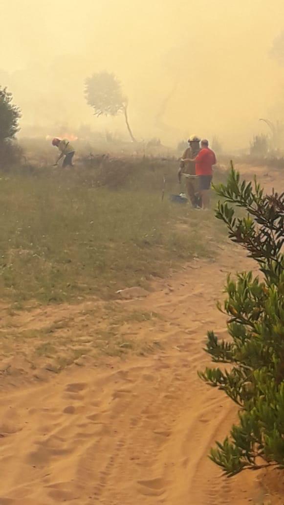 Defensa Civil y Bomberos de Madariaga colaboran en un incendio foresta