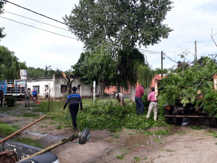 El viento provoc� la ca�da de �rboles