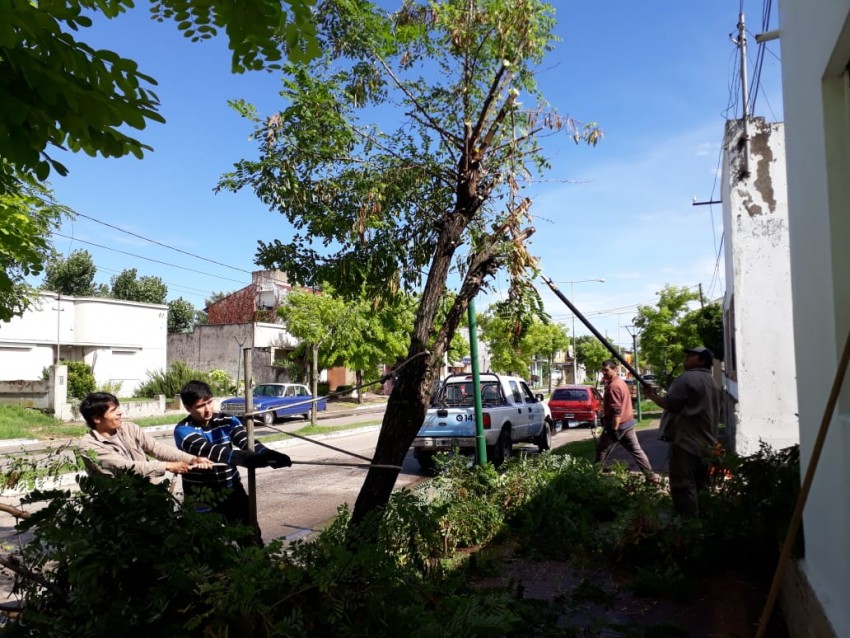 El viento provoc� la ca�da de �rboles