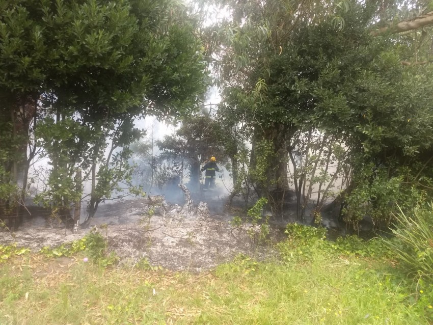 Incendio forestal fue controlado por Bomberos