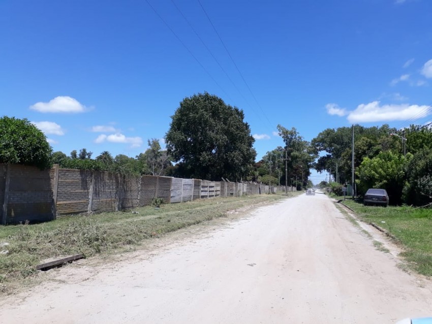 Poda, corte de pasto y limpieza de terreno