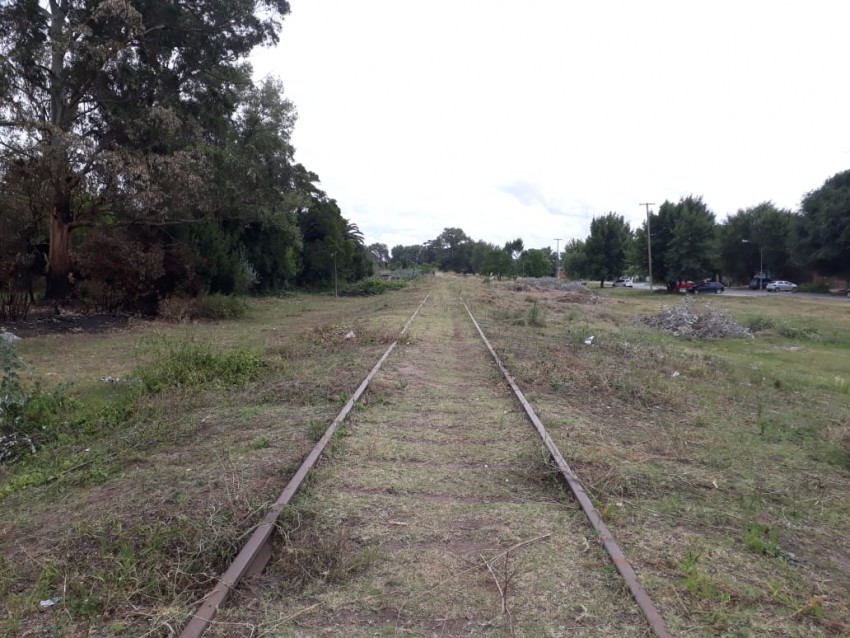 Defensa Civil trabaja en la limpieza de los terrenos linderos a la va