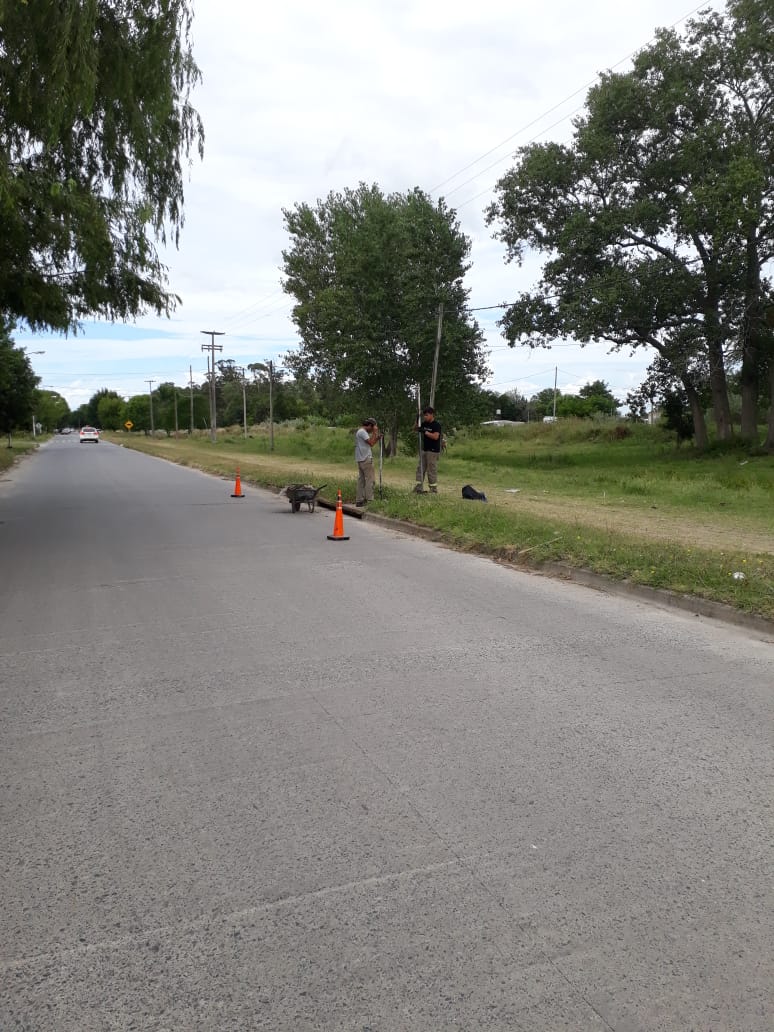 Defensa Civil trabaja en la limpieza de los terrenos linderos a la va