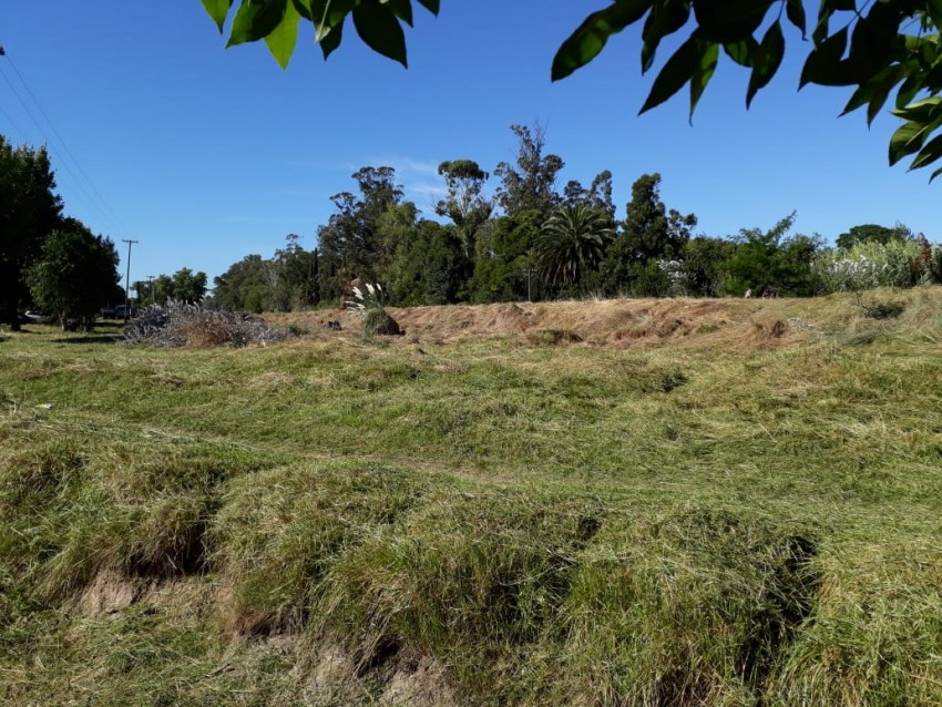 Intensifican las limpiezas de terrenos