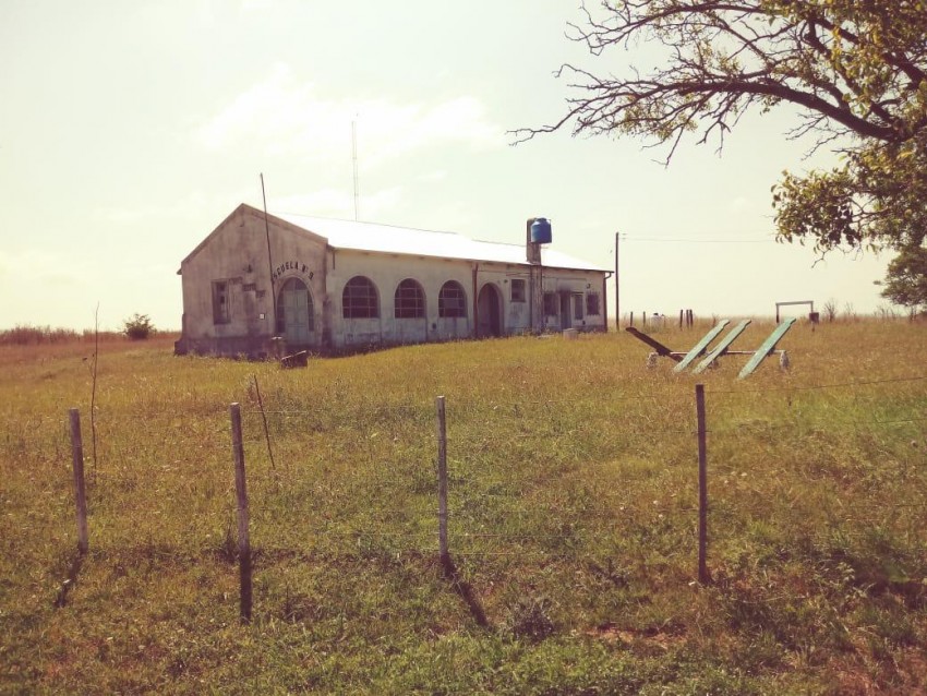 Iniciaron con el corte de pasto en los establecimientos rurales