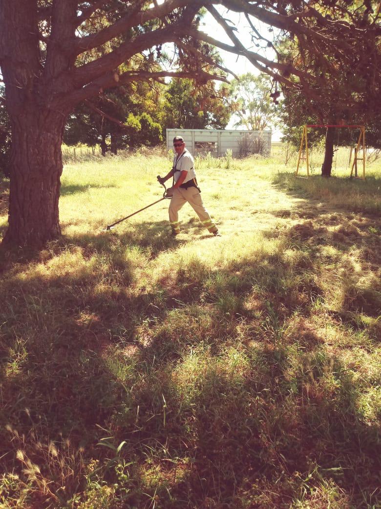 Iniciaron con el corte de pasto en los establecimientos rurales