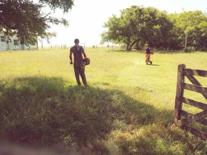 Iniciaron con el corte de pasto en los establecimientos rurales