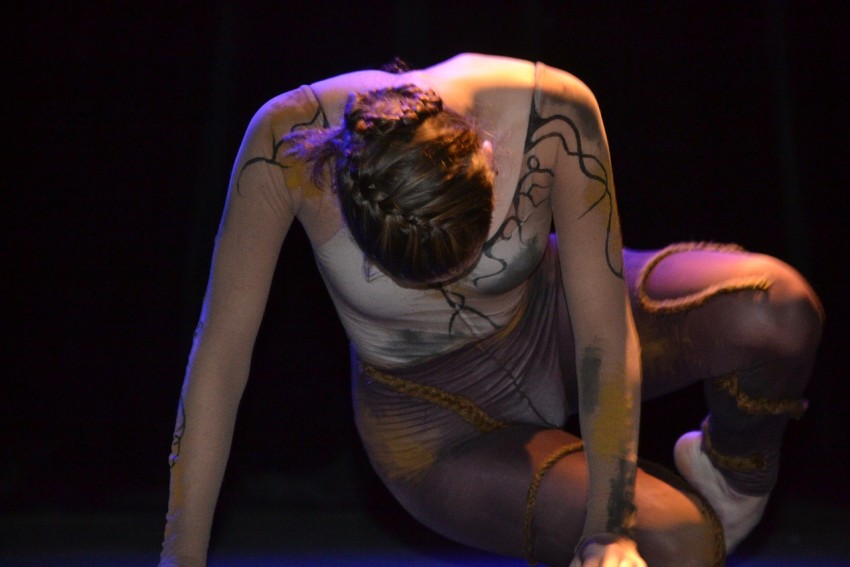 Se realiz� la presentaci�n de 