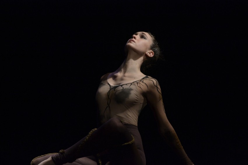 Se realiz� la presentaci�n de 