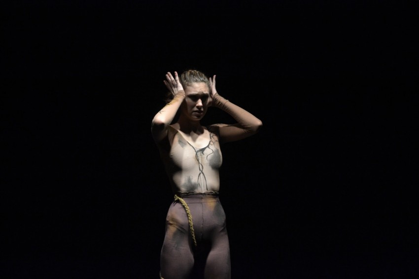 Se realiz� la presentaci�n de 