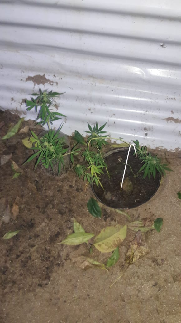 Allanaron la vivienda de un joven por el hurto de una moto y encontrar