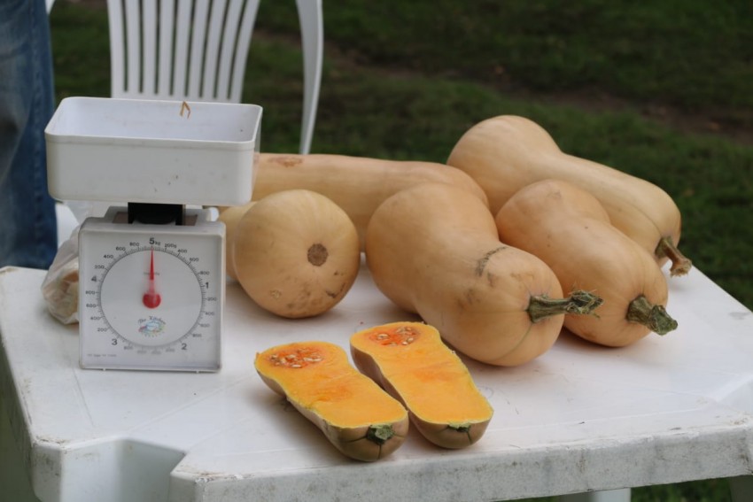 Se realiz� con �xito el 