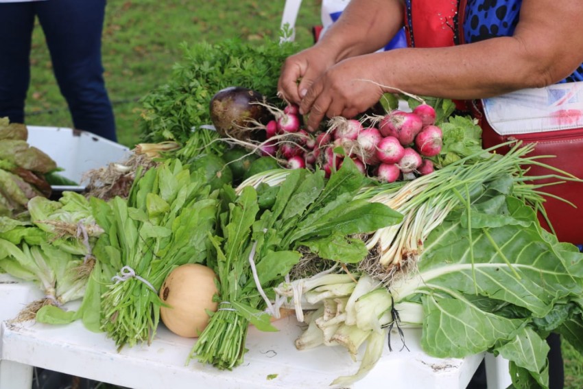 Se realiz� con �xito el 