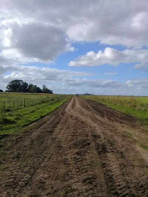 Tareas de perfilado y mejoras en el camino de 