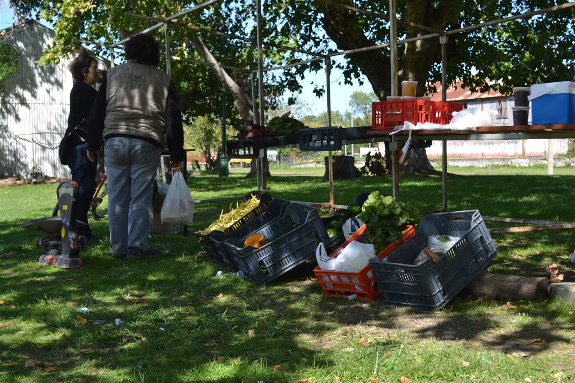 Buena calidad se vende en cantidad