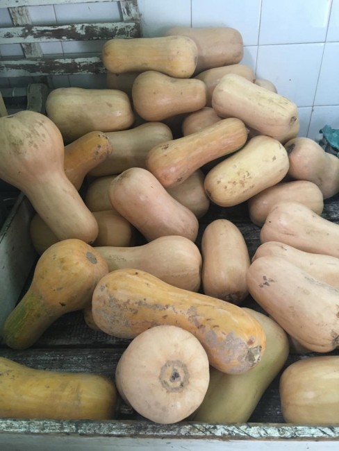 El Hospital concret� la primera compra de verduras a los huerteros loc