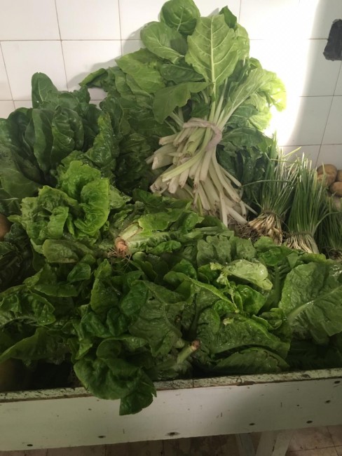 El Hospital concret la primera compra de verduras a los huerteros loc