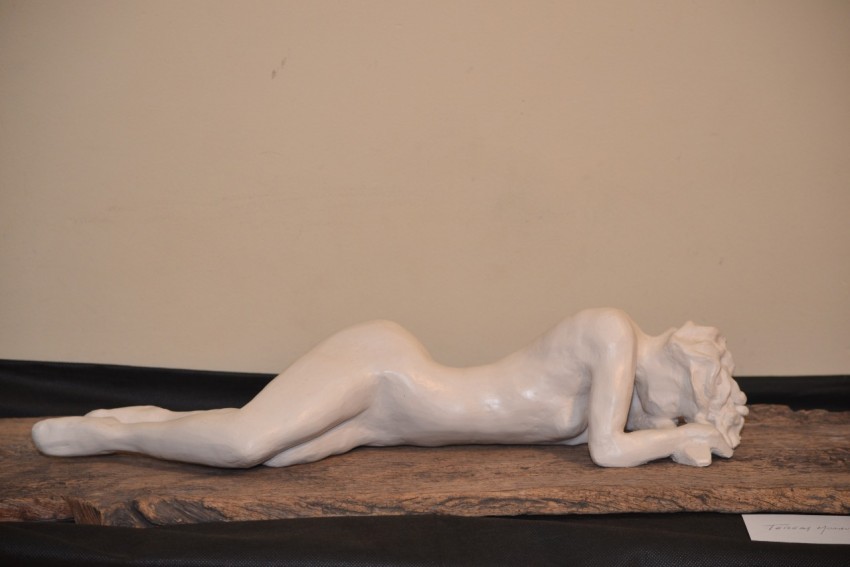 Qued inaugurada la muestra del Taller Cermicas del Tuy