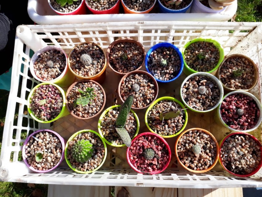 Los huerteros del Mercado de la Estacin vendieron todas sus verduras 