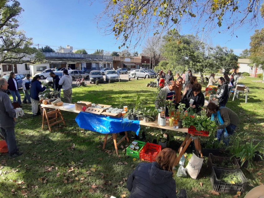 Los huerteros del Mercado de la Estacin vendieron todas sus verduras 