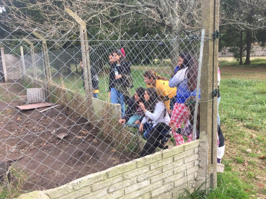 Alumnos de secundaria se concientizaron sobre la tenencia responsable
