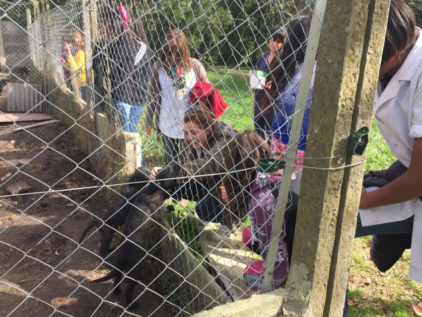 Alumnos de secundaria se concientizaron sobre la tenencia responsable