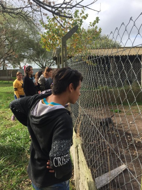 Alumnos de secundaria se concientizaron sobre la tenencia responsable