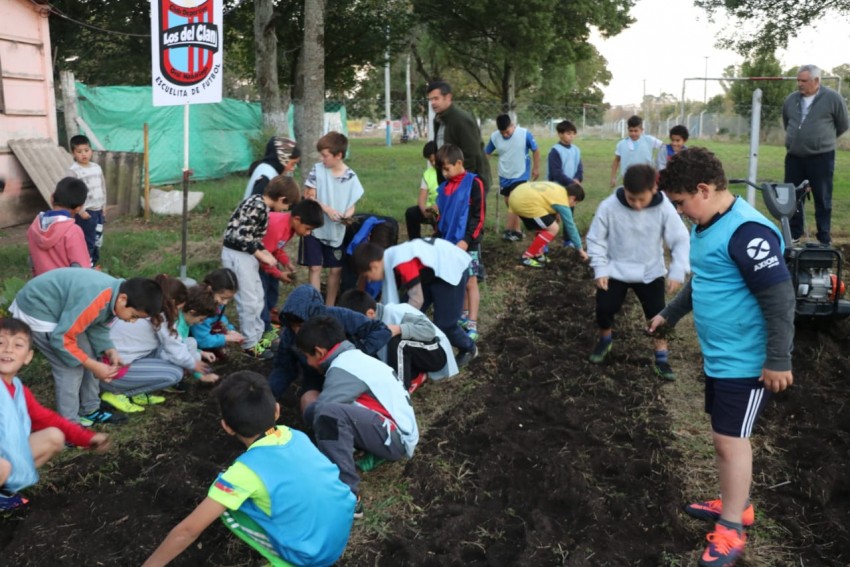 El Programa Municipal de huertas lleg al club