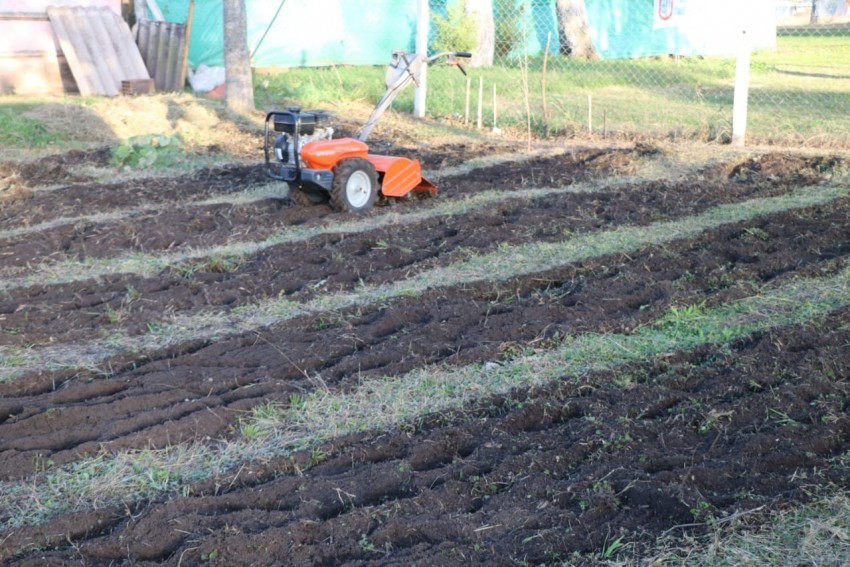 El Programa Municipal de huertas lleg al club