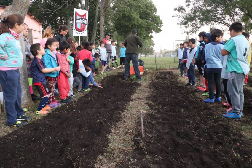El Programa Municipal de huertas lleg al club