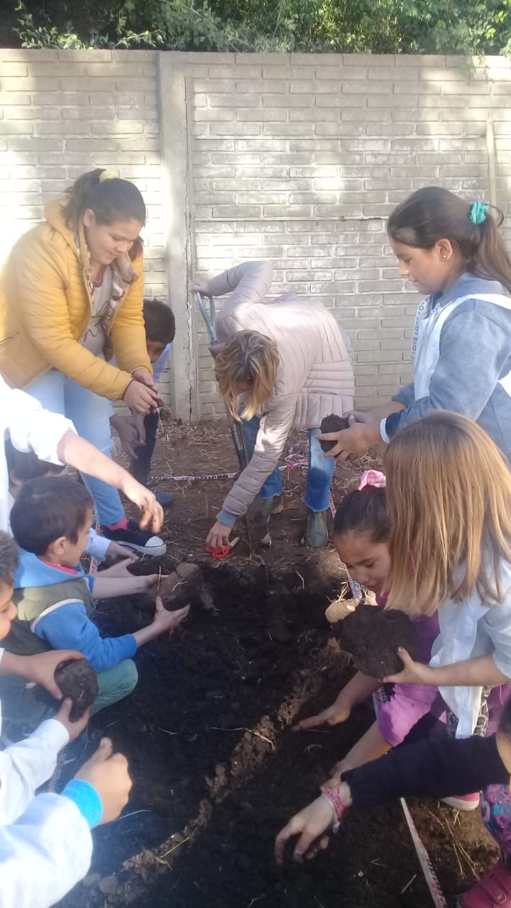 Los chicos de la Escuela 30 intensificaron su conocimiento en huertas