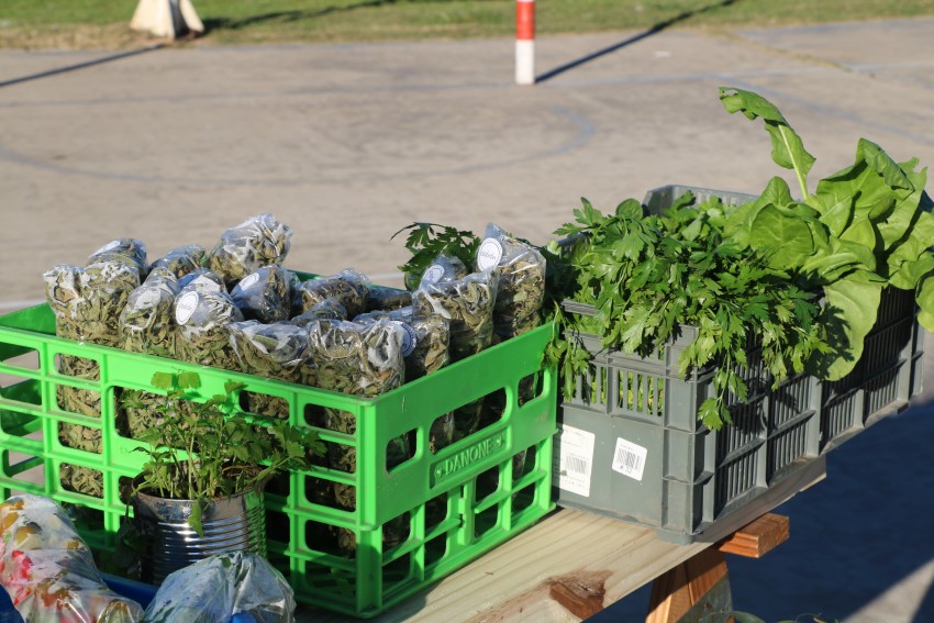 Se concret una nueva y exitosa jornada del Mercado de la Estacin