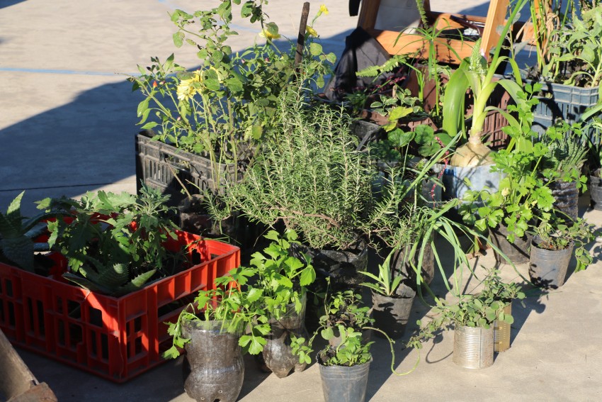 Se concret una nueva y exitosa jornada del Mercado de la Estacin