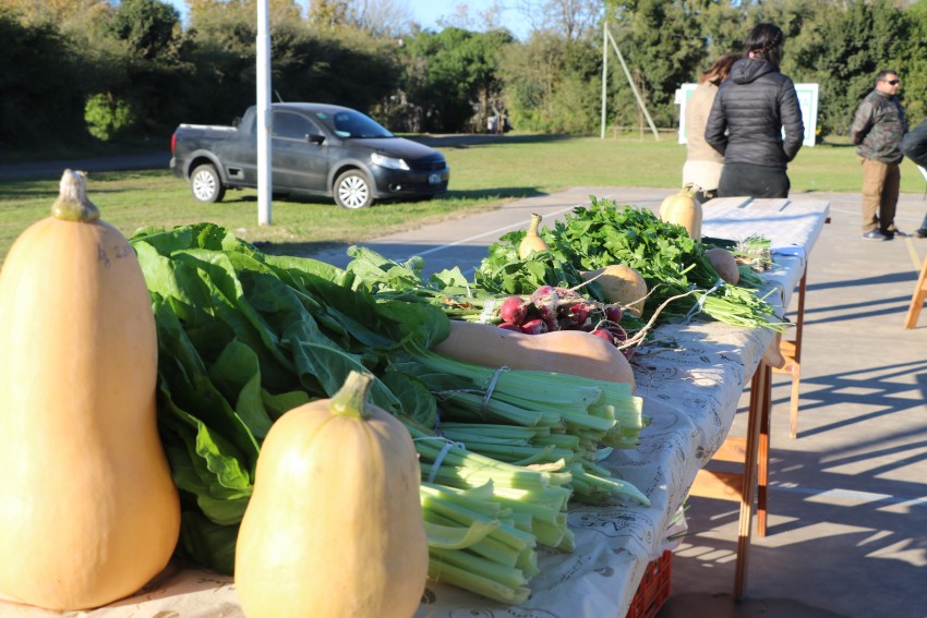 Se concret una nueva y exitosa jornada del Mercado de la Estacin
