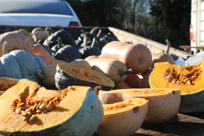 Se concret una nueva y exitosa jornada del Mercado de la Estacin