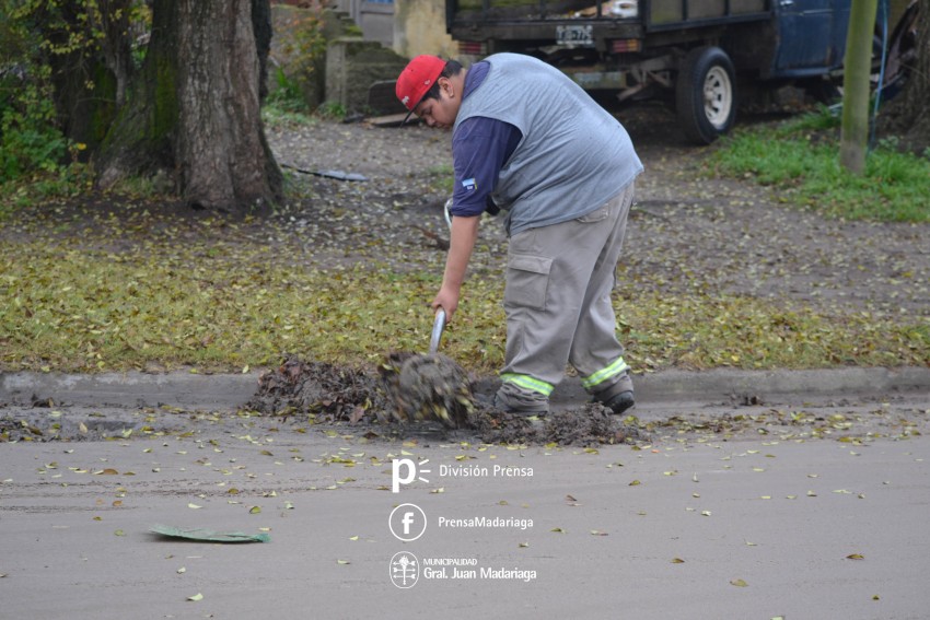 Defensa Civil trabaja en el desmalezamiento y poda sobre calle Illia