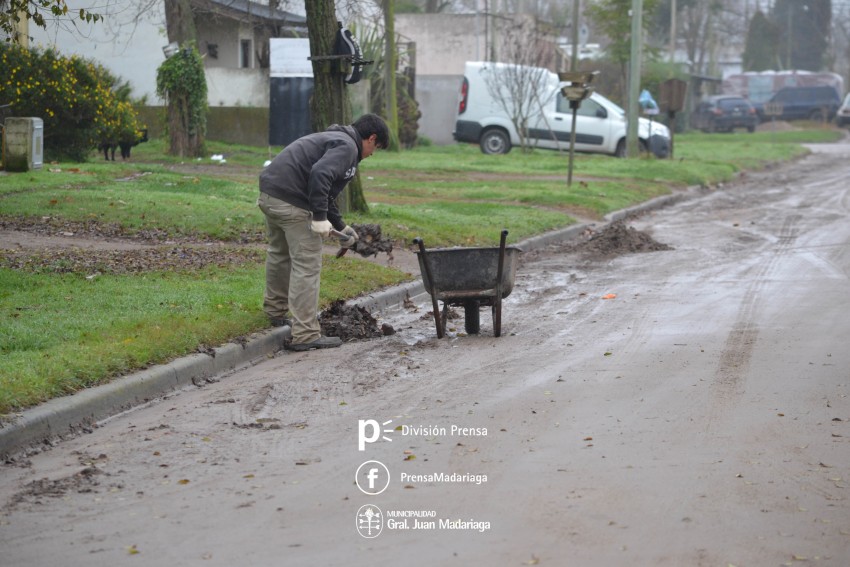 Defensa Civil trabaja en el desmalezamiento y poda sobre calle Illia