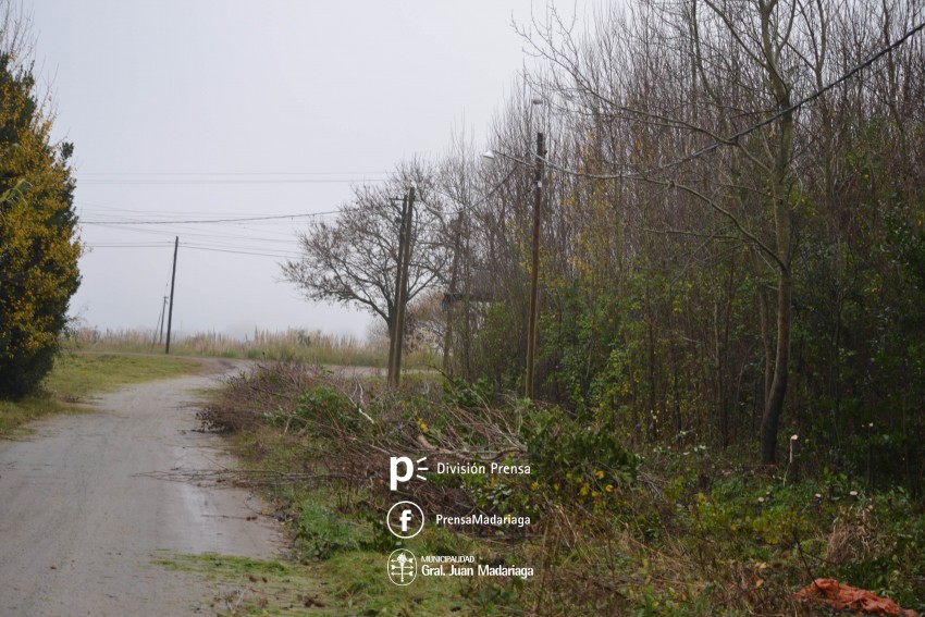 Defensa Civil trabaja en el desmalezamiento y poda sobre calle Illia