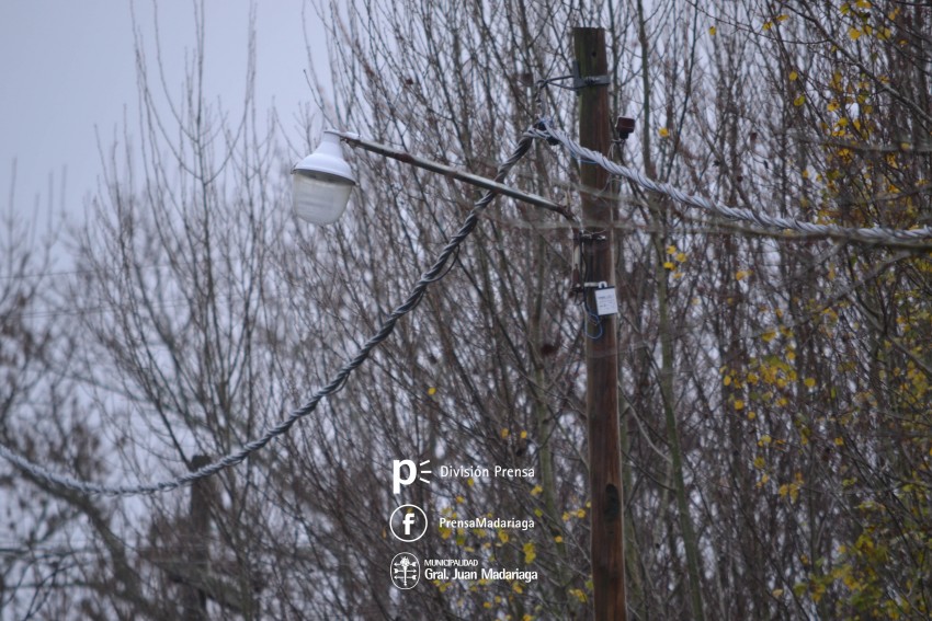 Defensa Civil trabaja en el desmalezamiento y poda sobre calle Illia