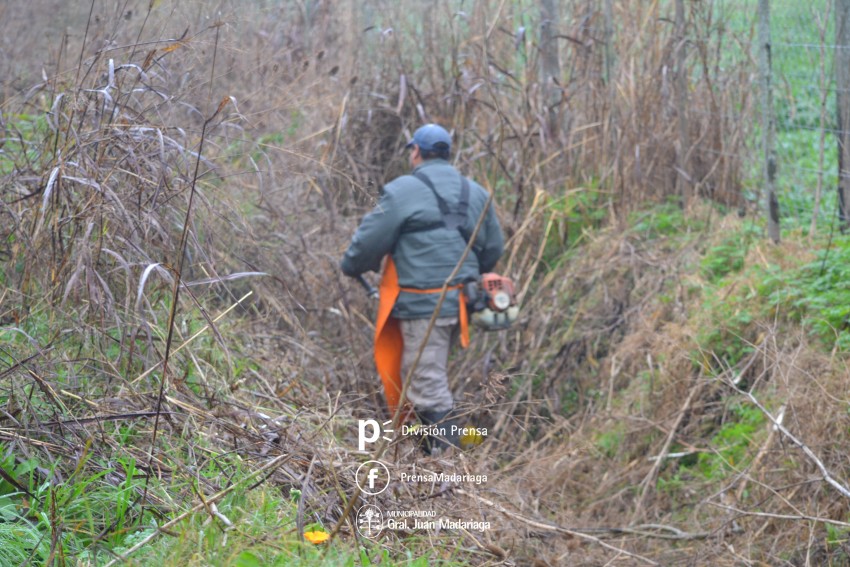 Defensa Civil trabaja en el desmalezamiento y poda sobre calle Illia