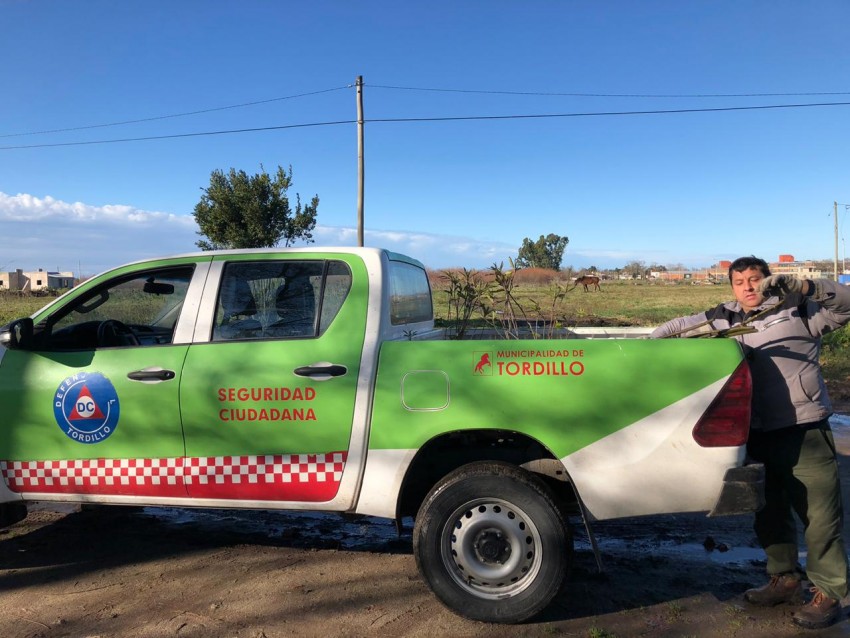 El rea de Medio Ambiente local asesor a pares de Tordillo