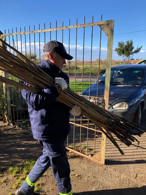 El rea de Medio Ambiente local asesor a pares de Tordillo