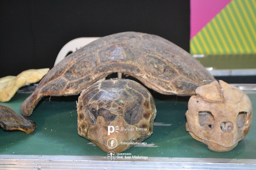 Estaci�n Ciencia abri� sus puertas