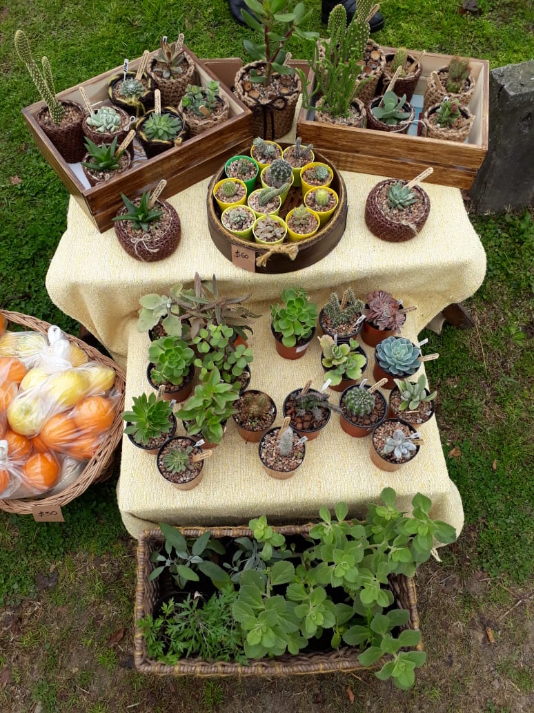 Culmin una nueva jornada del Mercado de la Estacin