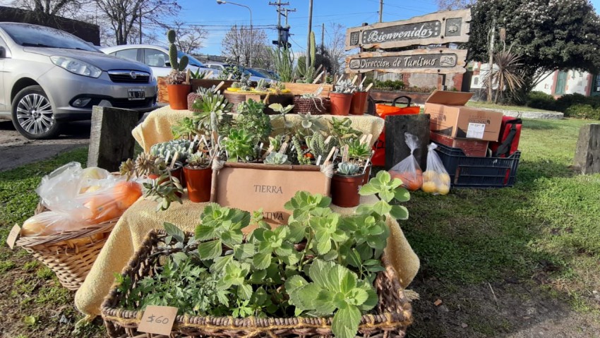 Inici el Mercado de la Estacin con presencia de 13 productores
